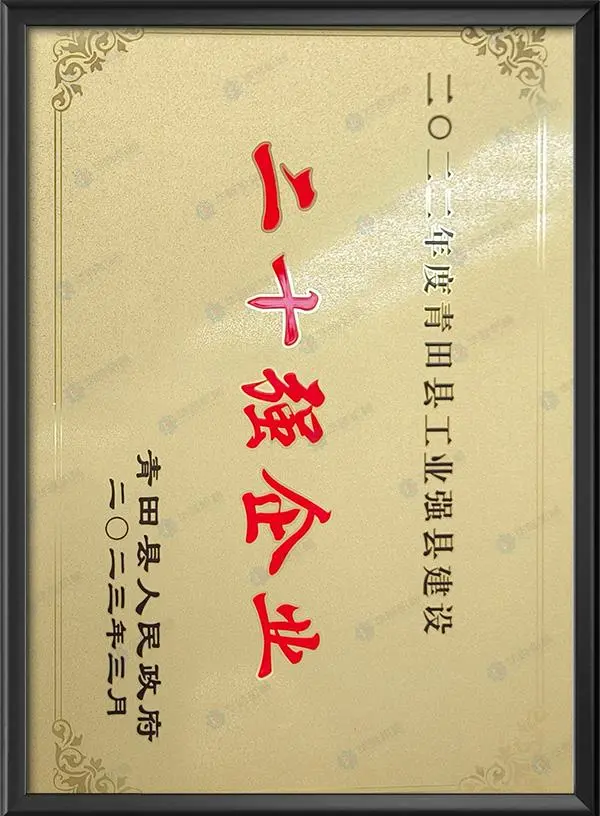 2022年度青田县工业强县建设二十强企业